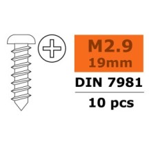 Revtec - Self-tapping Pan Head Screw - 2 9X19mm - Galvanized Steel - 10 pcs GF-0175-005