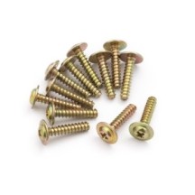 BLACKZON Flange Head Self Tapping Screws PWTHO2.6x12mm 540057