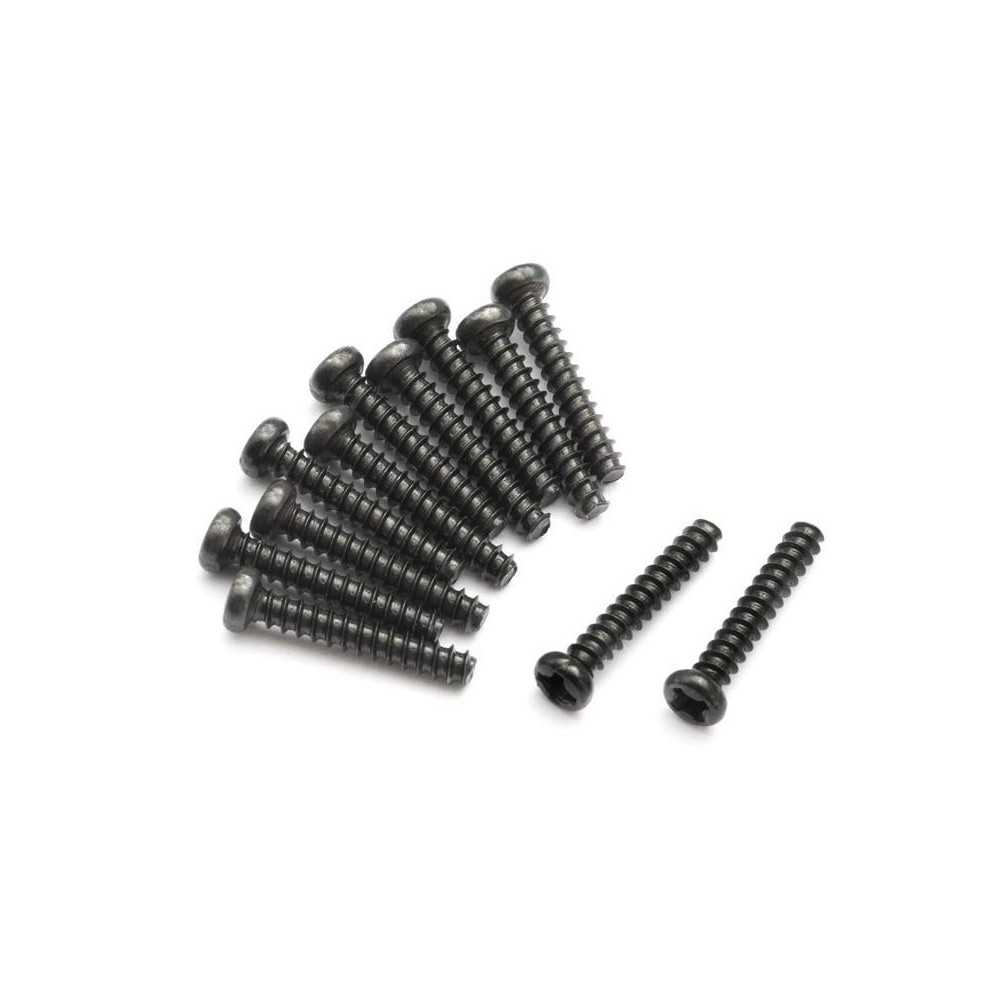 BLACKZON Pan head Self Tapping Screws PBHO2x12mm 540054 BLACKZON Pan head Self Tapping Screws PBHO2x12mm 540054