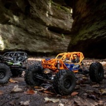 Axial Racing 1-10 RBX10 Ryft 4X4 RTR Brushless Rock Bouncer Orange AXI03005T1