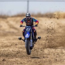 Team Losi 1-4 Promoto-MX Club MX 2S RTR Brushless Motorcycle Blue LOS06000T2
