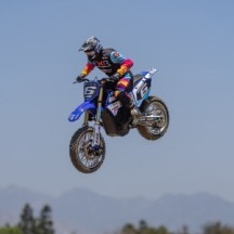 Team Losi 1-4 Promoto-MX Club MX 2S RTR Brushless Motorcycle Blue LOS06000T2