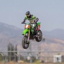 Team Losi 1-4 Promoto-MX Pro Circuit 2S RTR Brushless Motorcycle Battery and Charger Included Green LOS06002