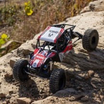 Axial Racing 1-8 AXP8 Gilamon 2.2 4X4 RTR Brushed Trail Buggy Red AXI-1207T2