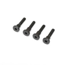 Axial Racing Hinge Screw Truggy Cage SCX6 Honcho AXI255001