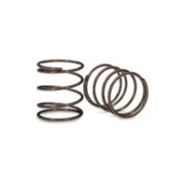 Traxxas Mini GTR Springs (1.19-Rate Green Stripe) (2) TRX10851