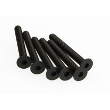 Tornillos avellanados 3x25mm Traxxas TRX4858