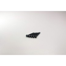 Tornillos metal cabeza BTR M3x20 mm Kyosho