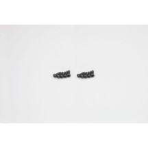 Tornillos TP Cabeza Redonda M2x10mm (10) Kyosho K.1-S42010TP