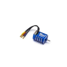Motor X-Speed 56 sensored 5600 kV Mini-Z Kyosho