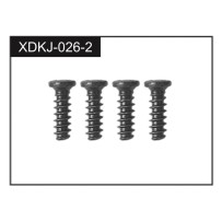 Absima - 2.3*5 Screws J-026-2