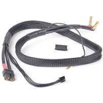 Absima - Charging Cable XT60 - 4/5mm gold plug - XH adapter 60cm 3040058