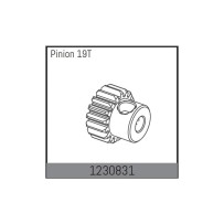 Absima - Motor Pinion 19T 1230831