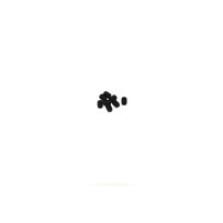 Absima - Set Screw M3x4 8 Buggy/Truggy/Monster 1230373