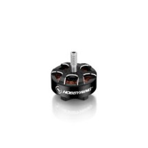 Hobbywing XRotor 2807 D34x20 D5 1300kV 6s Lipo HW30418000