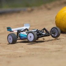 Losi 1-16 Mini-B 2S 2WD RTR Brushless Buggy (Battery & Charger included) Blue - LOS01024T2