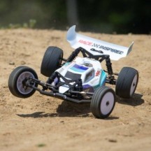 Losi 1-16 Mini-B 2S 2WD RTR Brushless Buggy (Battery & Charger included) Blue - LOS01024T2