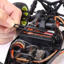 Losi 1-16 Mini-B 2S 2WD RTR Brushless Buggy (Battery & Charger included) Blue - LOS01024T2