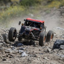 Buggy desierto 8IGHT Super Lasernut Losi LOS04019