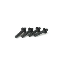 Losi Frnt-Rear Body Mount Posts & Hardware:LST-2 AFT LST 3XL-E - LOSB2450