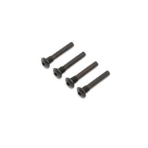Tornillos exteriores pasador bisagra Super Baja Rey Losi