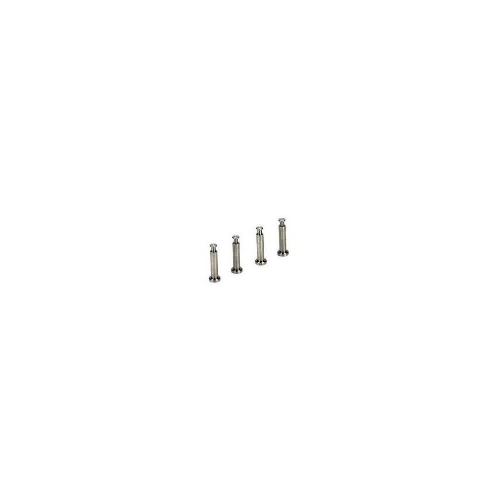 Losi Titanium hing pins 4x21mm. 8b-8t (4) - LOSA6504 Losi Titanium hing pins 4x21mm. 8b-8t (4) - LOSA6504