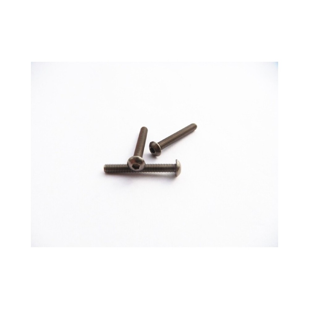 Hiro Seiko Titanium Hex Socket Button Head Screw M3x30 (2) HS-48090 Hiro Seiko Titanium Hex Socket Button Head Screw M3x30 (2) HS-48090