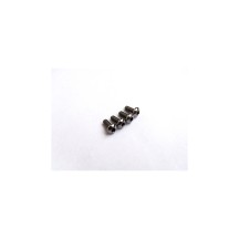 Hiro Seiko Titanium Hex Socket Button Head Screw M2x4 (4) HS-48108