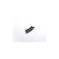 Hiro Seiko Titanium Hex Socket Button Head Screw M2x4 (4) HS-48108
