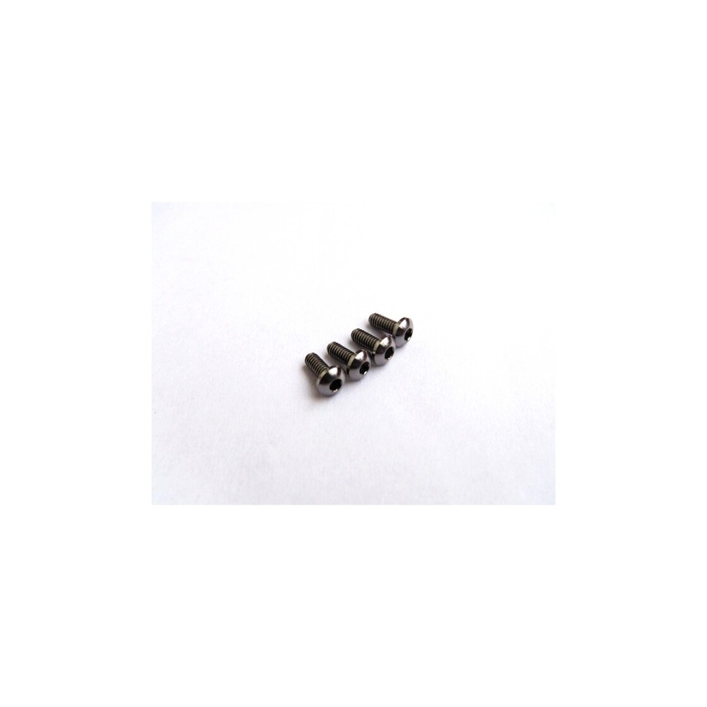Hiro Seiko Titanium Hex Socket Button Head Screw M2x4 (4) HS-48108 Hiro Seiko Titanium Hex Socket Button Head Screw M2x4 (4) HS-48108