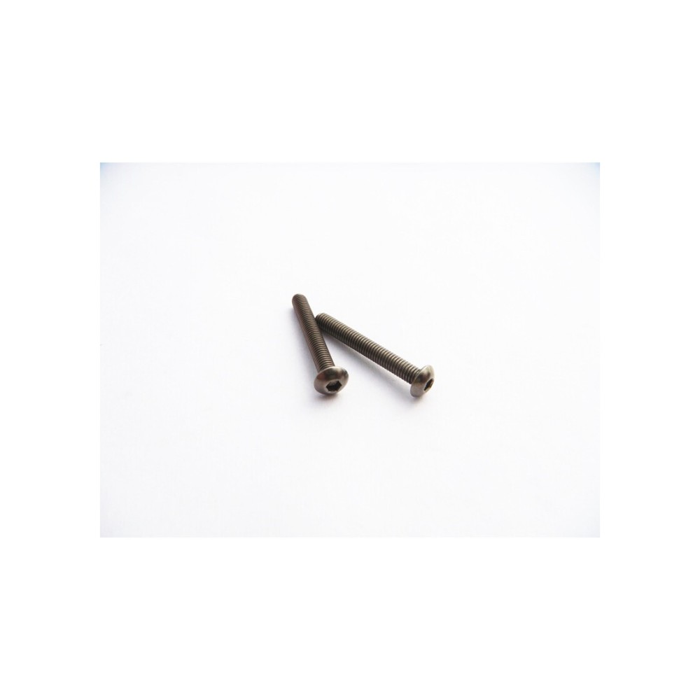 Hiro Seiko Titanium Hex Socket Button Head Screw M3x28 (2) HS-48110 Hiro Seiko Titanium Hex Socket Button Head Screw M3x28 (2) HS-48110