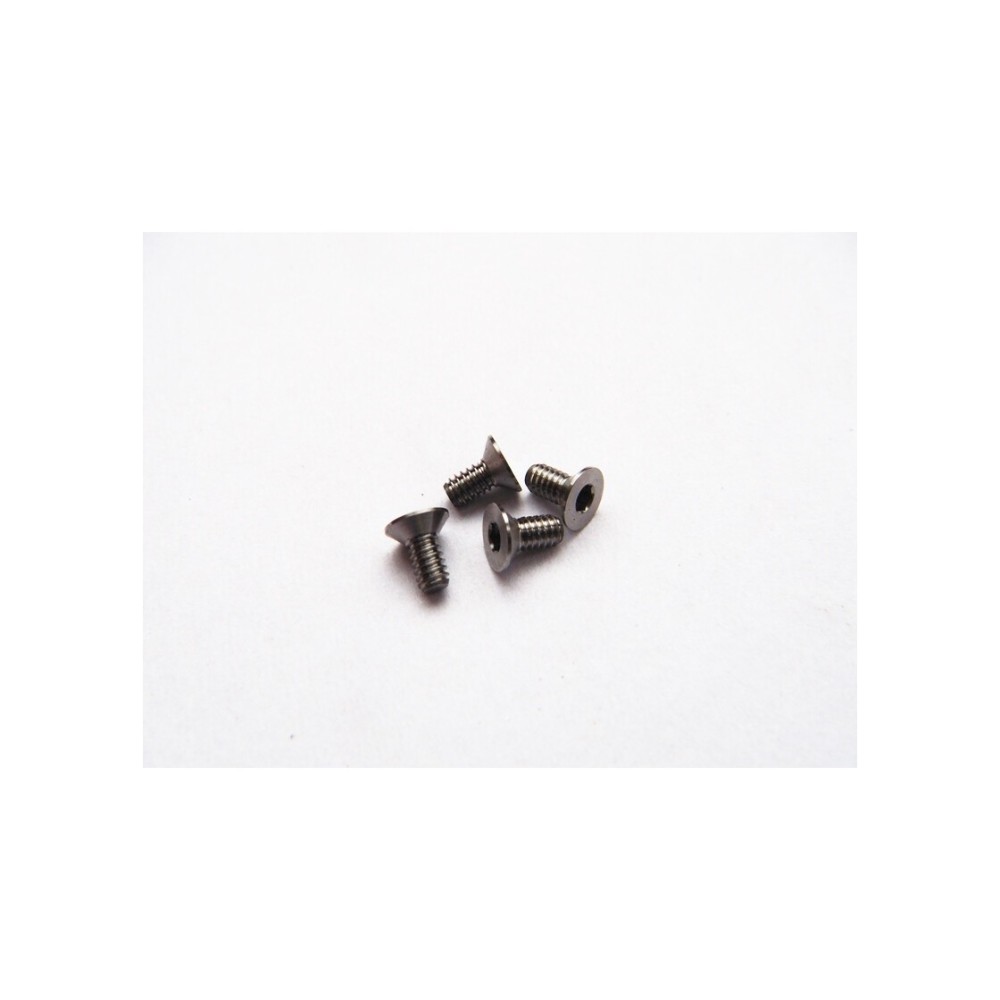 Hiro Seiko Titanium Hex Socket Flat Head Screw M2x4 (4) HS-48111 Hiro Seiko Titanium Hex Socket Flat Head Screw M2x4 (4) HS-48111