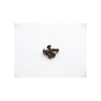 Hiro Seiko Titanium Hex Socket Button Head Screw M3x4mm HS-48224