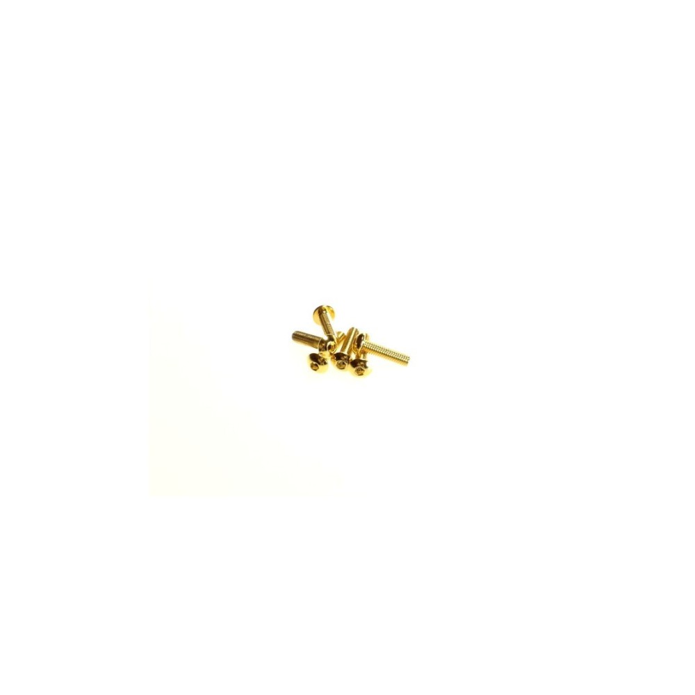 Hiro Seiko Hex Socket Button Head Screw M3x14 [24K_Gold] ( 6 pcs) HS-69572