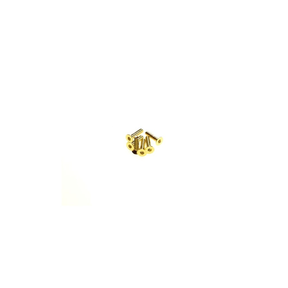 Hiro Seiko Hex Socket Flat Head Screw M3x12 [24K_Gold] ( 6 pcs) HS-69579