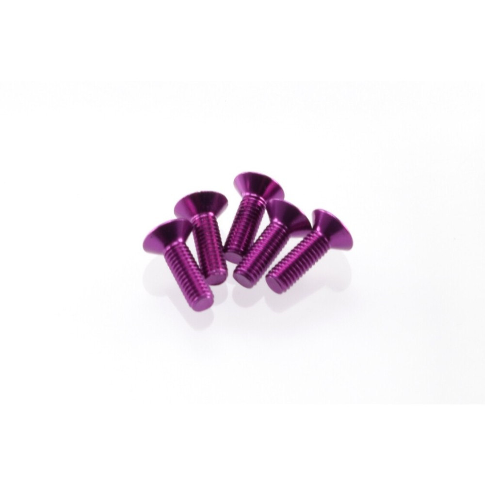 Hiro Seiko Alloy Hex Socket Flat Head Screw M3x10 [Purple] ( 5 pcs) HS-69653