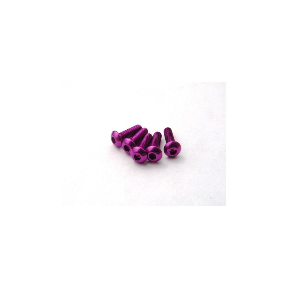 Hiro Seiko Alloy Hex Socket Button Head Screw M3x5 [Purple] ( 5 pcs) HS-69726