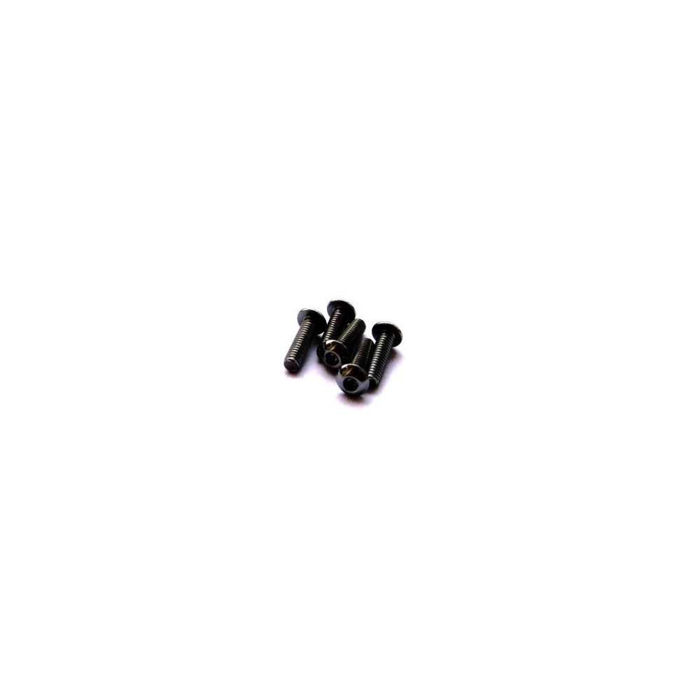 Hiro Seiko Alloy Hex Socket Button Head Screw M3x6 [Black] ( 5 pcs) HS-69869