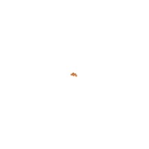 Hiro Seiko 2mm Alloy Nylon Nut (S_Size) [Orange] ( 5 pcs) HS-69877