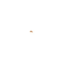 Hiro Seiko 2mm Alloy Nylon Nut (S_Size) [Orange] ( 5 pcs) HS-69877