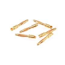 RUDDOG 2mm Gold Plug Male (6pcs) RP-0180