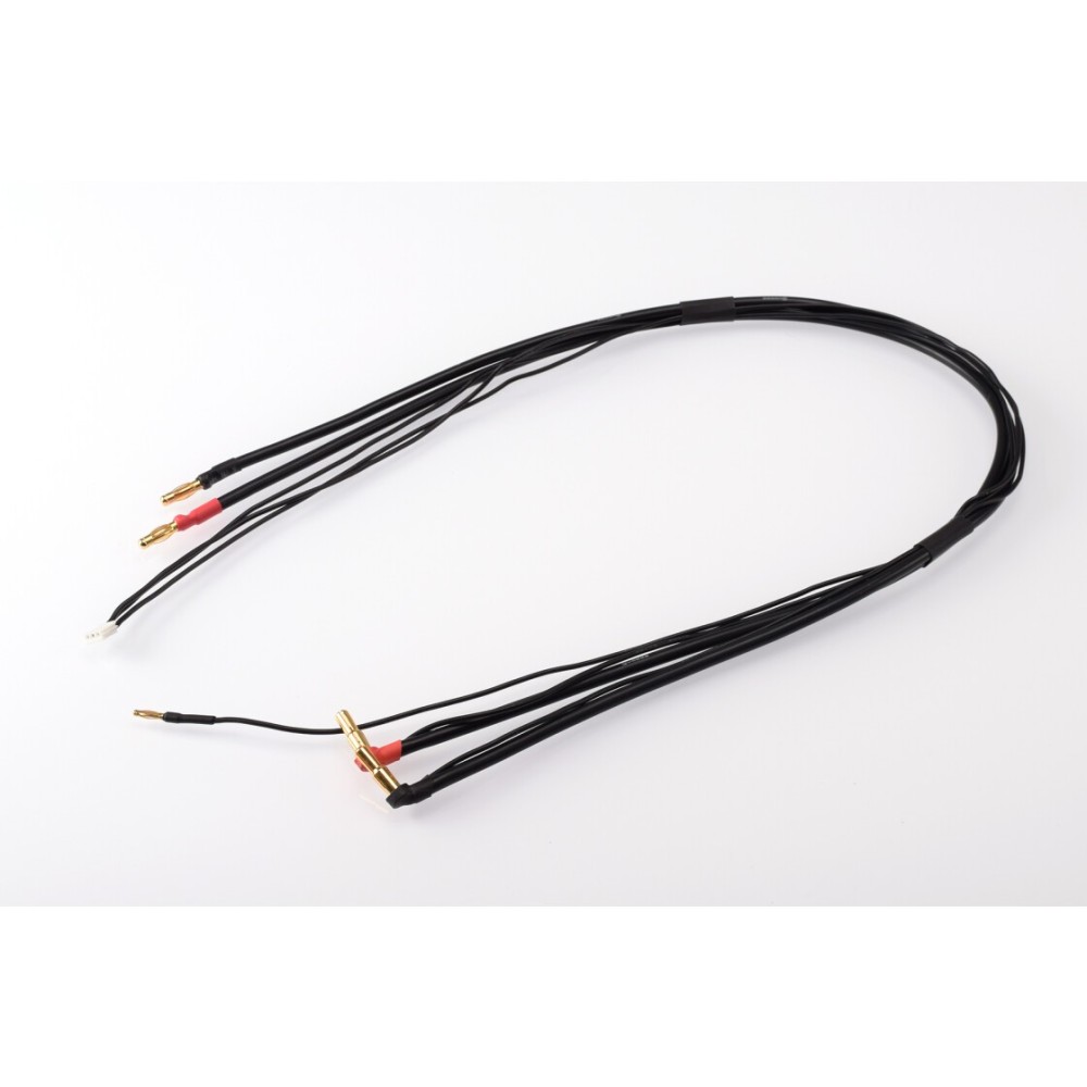 RUDDOG 2S Charging Lead 60cm (4/5mm,2mm)(4mm,3PIN-EH) RP-0212 RUDDOG 2S Charging Lead 60cm (4/5mm,2mm)(4mm,3PIN-EH) RP-0212