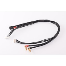 RUDDOG 4S Charging Lead 40cm (4/5mm,4S-XH)(7PIN-XH,XT60) RP-0224