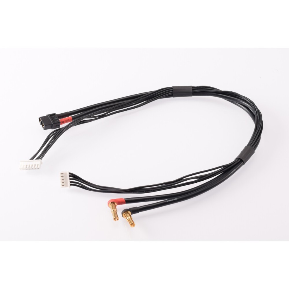 RUDDOG 4S Charging Lead 40cm (4/5mm,4S-XH)(7PIN-XH,XT60) RP-0224 RUDDOG 4S Charging Lead 40cm (4/5mm,4S-XH)(7PIN-XH,XT60) RP-0224