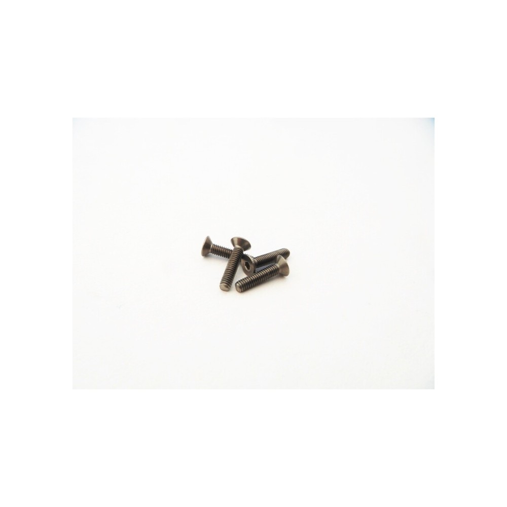 Hiro Seiko Titanium Hex Socket Flat Head Screw M2.5x10mm (4pcs) HS-48621 Hiro Seiko Titanium Hex Socket Flat Head Screw M2.5x10mm (4pcs) HS-48621