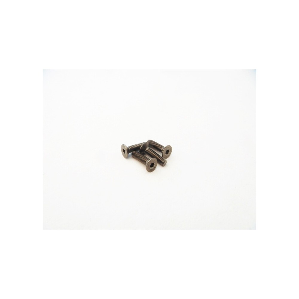 Hiro Seiko Titanium Hex Socket Flat Head Screw M2.5x12mm (4pcs) HS-48622 Hiro Seiko Titanium Hex Socket Flat Head Screw M2.5x12mm (4pcs) HS-48622