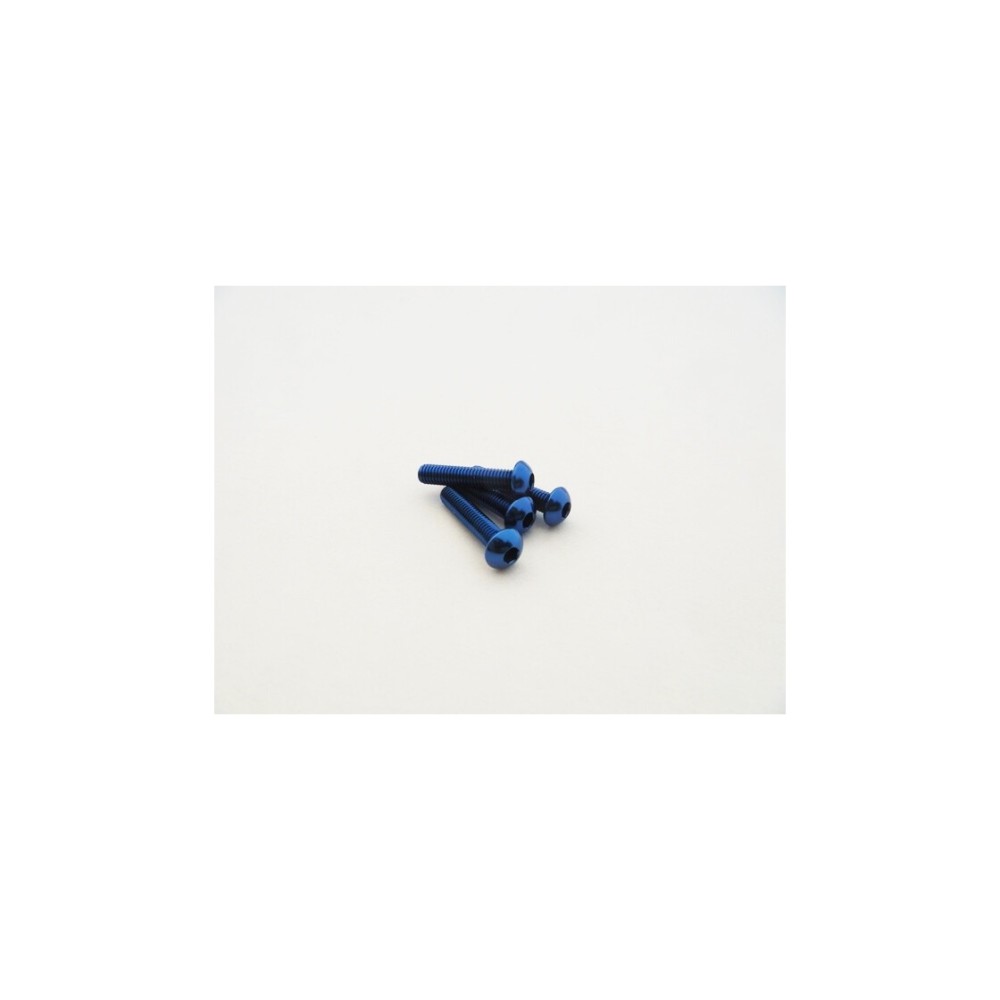 Hiro Seiko Alloy Hex Socket Button Head Screw M3x20 (4pcs | Y-Blue) HS-48702 Hiro Seiko Alloy Hex Socket Button Head Screw M3x20 (4pcs | Y-Blue) HS-48702