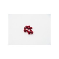 Hiro Seiko Alloy Hex Socket Button Head Screw M3x16 (4pcs | Red) HS-48705