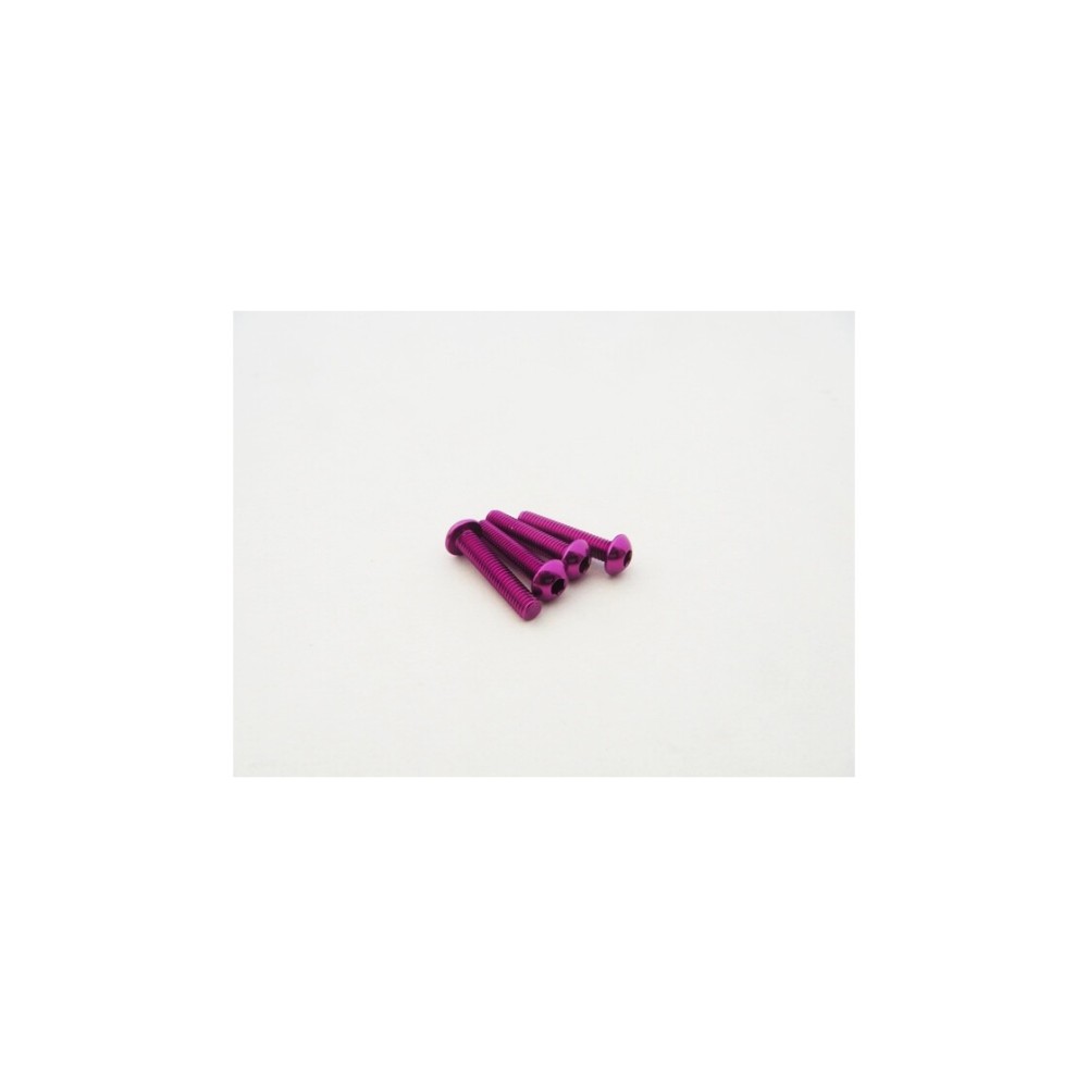 Hiro Seiko Alloy Hex Socket Button Head Screw M3x20 (4pcs | Purple) HS-48712 Hiro Seiko Alloy Hex Socket Button Head Screw M3x20 (4pcs | Purple) HS-48712