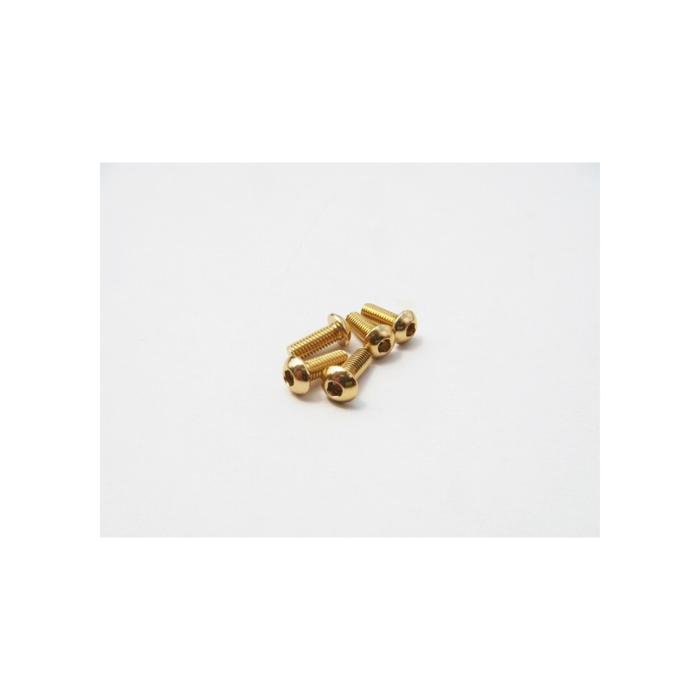 Hiro Seiko Alloy Hex Socket Button Head Screw M3x14 (4pcs | Gold) HS-48728 Hiro Seiko Alloy Hex Socket Button Head Screw M3x14 (4pcs | Gold) HS-48728